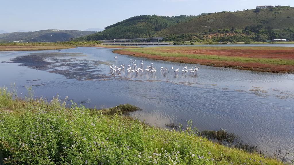 At 29 Columba Ξενοδοχείο Great Brak River Εξωτερικό φωτογραφία